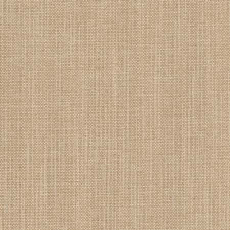 Liberty Latte by Carole Designer Fabric Liberty,Liberty II 100% Polyester India Passes 50,000 Double Rubs Wyzenbeek None 54" - Swanky Fabrics -