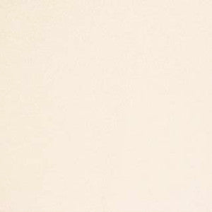 Early Frost Ivory by Carole Designer Fabric