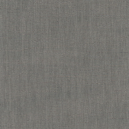 Athlete Charcoal by Carole Designer Fabric Pewter 60% Cotton, 40% Polyester India None 55" - Swanky Fabrics -