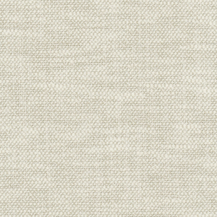 Overacting Alabaster by Carole Designer Fabric Opal 72% Polyester, 28% Cotton India N/A Horizontal: 0 and Vertical: 0 55 - Swanky Fabrics -