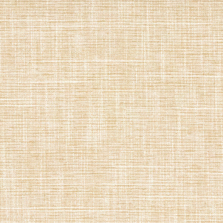 Big Thinker Raffia by Carole Designer Fabric Power Play 100% Polyester N/A None 55" - Swanky Fabrics -