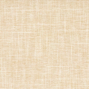 Big Thinker Raffia by Carole Designer Fabric