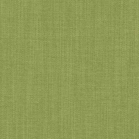Liberty Green by Carole Designer Fabric Liberty,Liberty II 100% Polyester India Passes 50,000 Double Rubs Wyzenbeek None 54" - Swanky Fabrics -