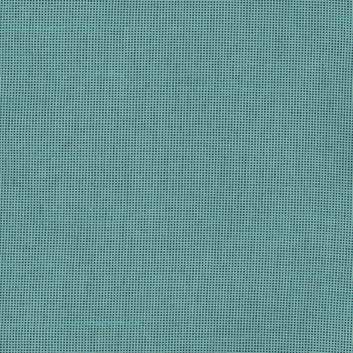 Fleeting Teal by Carole Designer Fabric Royale 100% Polyester India Passes 50,000 Double Rubs Wyzenbeek Horizontal: 0 and Vertical: 0 54 - Swanky Fabrics -