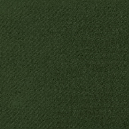 Regal Touch Kale by Carole Designer Fabric Touch Of Luxury 100% Polyester Turkey 15,000 Wyzenbeek Double Rubs None 55" - Swanky Fabrics -