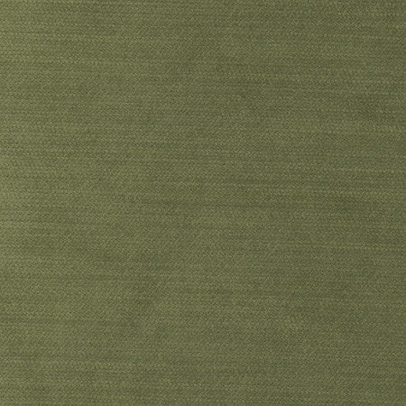 Cool Touch Homegrown by Carole Designer Fabric Touch Of Luxury 100% Polyester Turkey 50,000 Wyzenbeek Double Rubs None 54" - Swanky Fabrics -