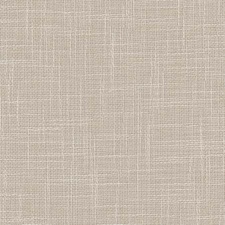 As Always Platinum by Carole Designer Fabric See It Through 100% Polyester Turkey None 55.5" - Swanky Fabrics -