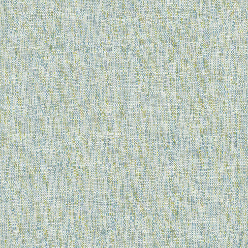 Hard Knocks Aqua by Carole Designer Fabric Celadon 69% Polyester, 31% Cotton India Passes 30,000 Double Rubs Wyzenbeek Horizontal: 0 and Vertical: 0 555 - Swanky Fabrics -
