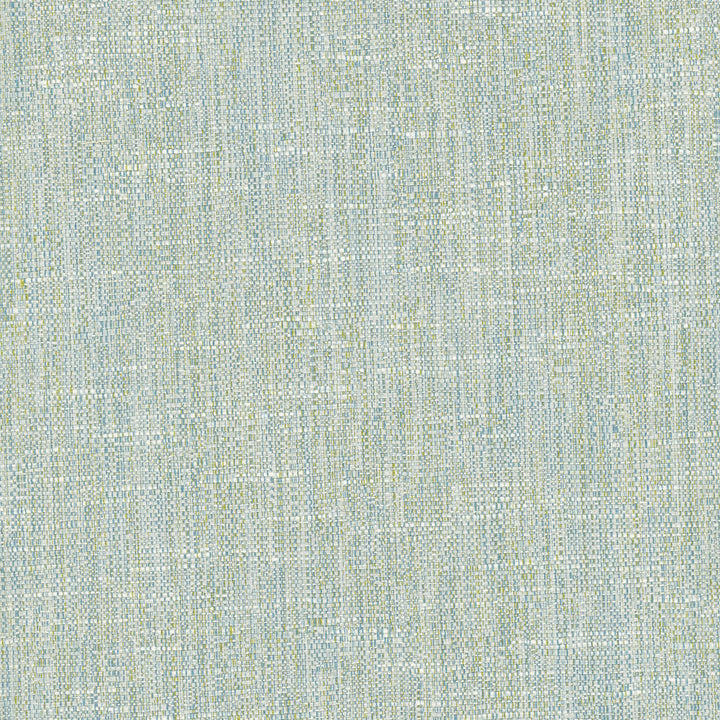 Hard Knocks Aqua by Carole Designer Fabric Celadon 69% Polyester, 31% Cotton India Passes 30,000 Double Rubs Wyzenbeek Horizontal: 0 and Vertical: 0 555 - Swanky Fabrics -