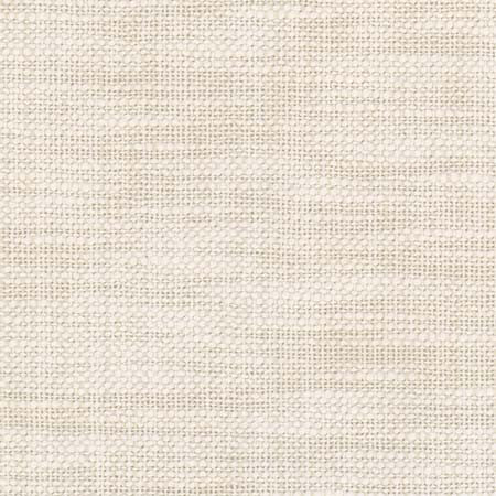From The Start Cream by Carole Designer Fabric See It Through 66% Cotton, 34% Polyester India N/A None 55.25" - Swanky Fabrics -
