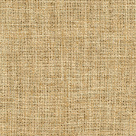 Consultant Chino by Carole Designer Fabric Sunbaked 100% Polyester INDIA N/A None 54" - Swanky Fabrics -