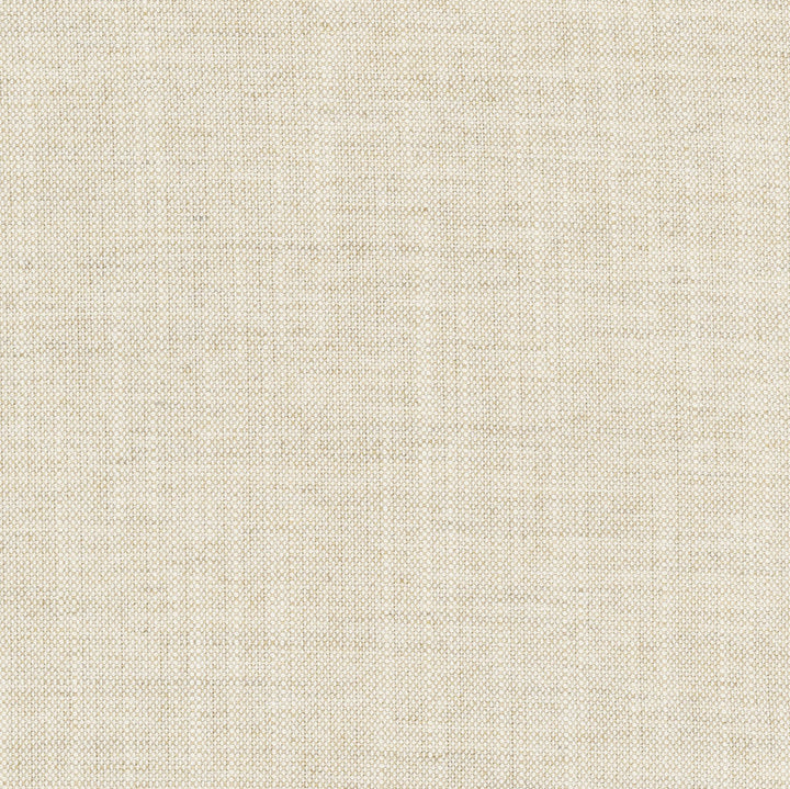 Aerial Flax by Carole Designer Fabric Opal 100% Polyester India Passes 50,000 Double Rubs Wyzenbeek Horizontal: 0 and Vertical: 0 56 - Swanky Fabrics -