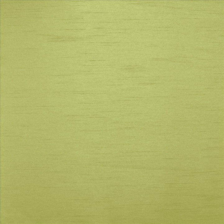 Firenza Celery by Kasmir Designer Fabric See sample 100% Polyester
 INDIA 9,000 Wyzenbeek Double Rubs </p><p>Repeat: Horizontal: N/A and Vertical: N/A 54 - Swanky Fabrics -