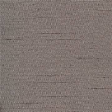 Firenza Charcoal by Kasmir Designer Fabric 1246 100% Polyester INDIA 9,000 Wyzenbeek Double Rubs H: N/A, V: N/A 54 - 55 - Swanky Fabrics - Kasmir