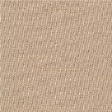 Firenza Doeskin by Kasmir Designer Fabric 1246 100% Polyester INDIA 9,000 Wyzenbeek Double Rubs H: N/A, V: N/A 54 - 55 - Swanky Fabrics - Kasmir