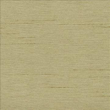Firenza Sage by Kasmir Designer Fabric 1380 100% Polyester INDIA 9,000 Wyzenbeek Double Rubs H: N/A, V: N/A 54 - 55 - Swanky Fabrics - Kasmir