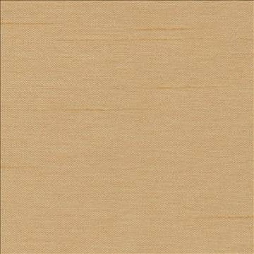 Firenza Toast by Kasmir Designer Fabric 1246 100% Polyester INDIA 9,000 Wyzenbeek Double Rubs H: N/A, V: N/A 54 - 55 - Swanky Fabrics - Kasmir