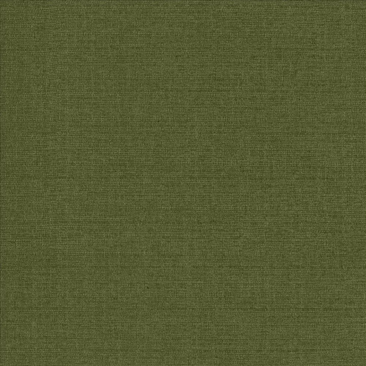 Flynn Pine by Kasmir Designer Fabric 5164 91% Polyester
9% Nylon
 CHINA 100,000 Wyzenbeek Double Rubs </p><p>Repeat: Horizontal: N/A and Vertical: N/A 54 - Swanky Fabrics -