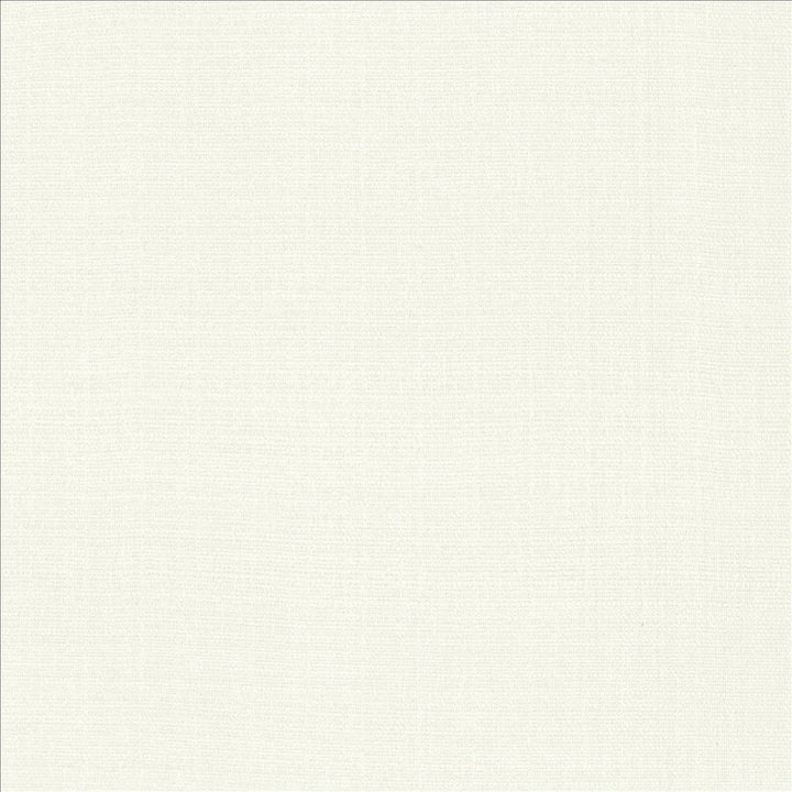 Flynn White by Kasmir Designer Fabric 5164 91% Polyester
9% Nylon
 CHINA 100,000 Wyzenbeek Double Rubs </p><p>Repeat: Horizontal: N/A and Vertical: N/A 54 - Swanky Fabrics -