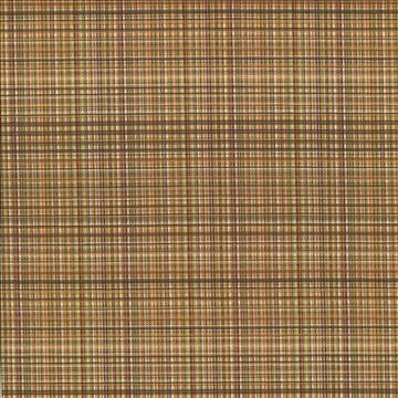 Formosa Brown Blaze by Kasmir Designer Fabric 5069 55% Cotton 45% Polyester TAIWAN 15,000 Wyzenbeek Double Rubs H: 6 6/8 inches, V: 2 7/8 inches 55 - Swanky Fabrics - Kasmir