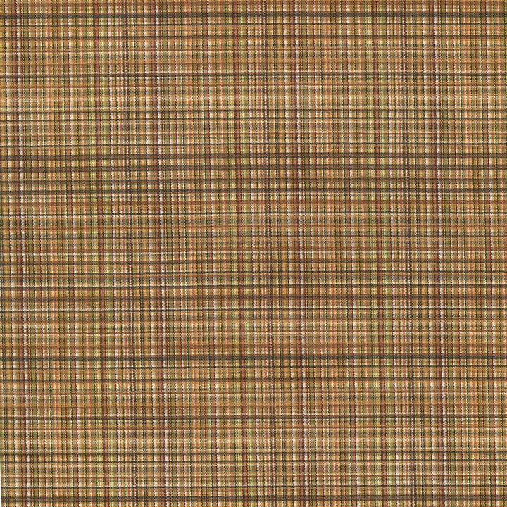 Formosa Brown Blaze by Kasmir Designer Fabric See sample 55% Cotton
45% Polyester
 TAIWAN 15,000 Wyzenbeek Double Rubs </p><p>Repeat: Horizontal: 6 6/8 inches and Vertical: 2 7/8 inches 55 - Swanky Fabrics -