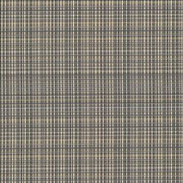 Formosa Sandstone by Kasmir Designer Fabric 5067 55% Cotton 45% Polyester TAIWAN 15,000 Wyzenbeek Double Rubs H: 6 6/8 inches, V: 2 7/8 inches 55 - Swanky Fabrics - Kasmir