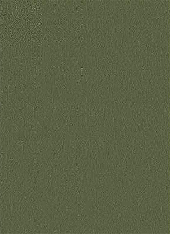 FORTUNE.30 by Kravet Design Designer Fabric our website for purchase 100% Leather Japan Light Horizontal: see sample and Vertical: see sample 54 inches - Swanky Fabrics -