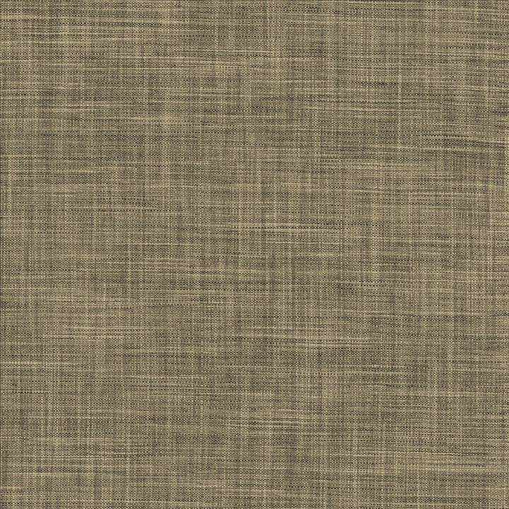 Foundation Ashen  by Kasmir Designer Fabric 5120 64% Polyester
18% Cotton
9% Linen
9% Rayon
 INDIA 30,000 Wyzenbeek Double Rubs Horizontal: N/A and Vertical: N/A 54  - Swanky Fabrics -
