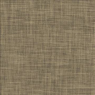Foundation Ashen by Kasmir Designer Fabric 5120 64% Polyester 18% Cotton 9% Linen 9% Rayon INDIA 30,000 Wyzenbeek Double Rubs H: N/A, V: N/A 54 - Swanky Fabrics - Kasmir