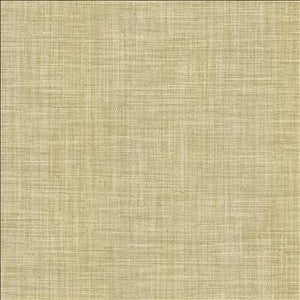 Foundation Dust by Kasmir Designer Fabric