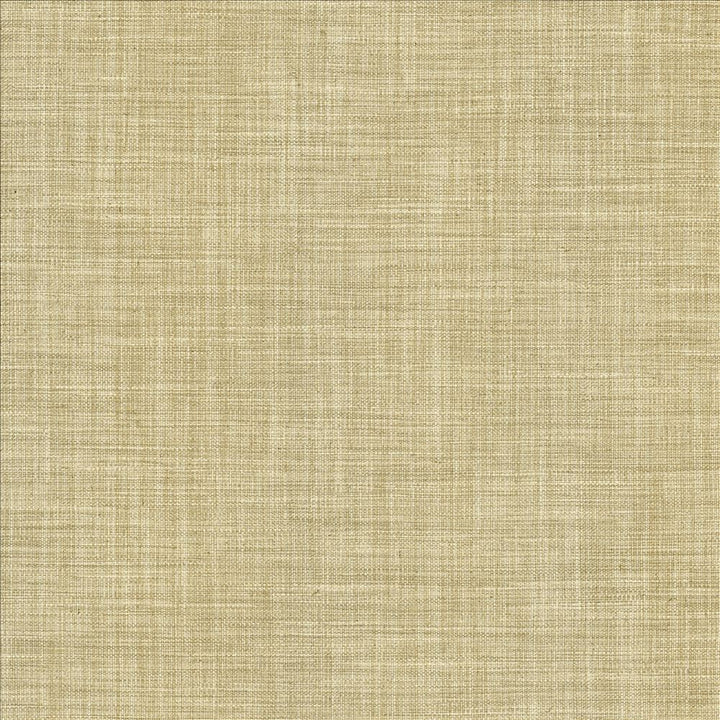 Foundation Dust by Kasmir Designer Fabric See sample 64% Polyester
18% Cotton
9% Linen
9% Rayon
 INDIA 30,000 Wyzenbeek Double Rubs </p><p>Repeat: Horizontal: N/A and Vertical: N/A 54 - Swanky Fabrics -