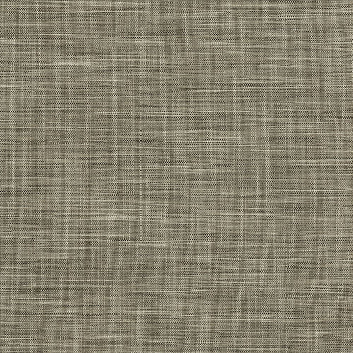 Foundation Granite by Kasmir Designer Fabric 5120 64% Polyester
18% Cotton
9% Linen
9% Rayon
 INDIA </p><p>Repeat: Horizontal: N/A and Vertical: N/A 54 - Swanky Fabrics -