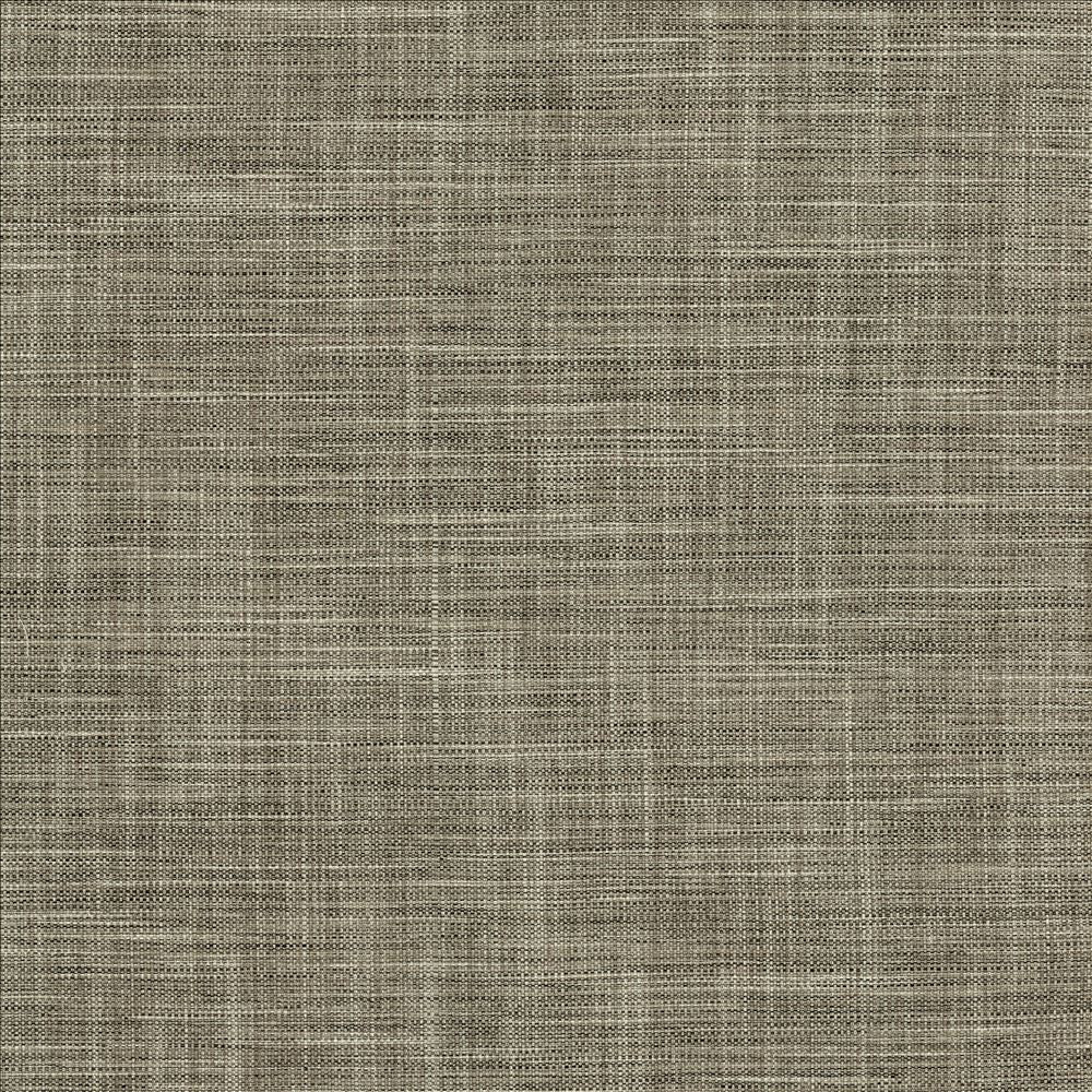 Foundation Granite by Kasmir Designer Fabric 5120 64% Polyester 18% Cotton 9% Linen 9% Rayon INDIA 30,000 Wyzenbeek Double Rubs Horizontal: 0 Inches and Vertical: 0 Inches 54 - Swanky Fabrics -
