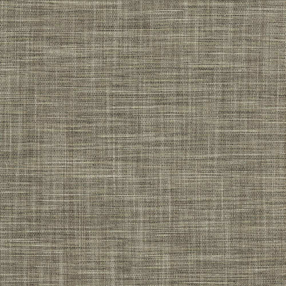 Foundation Granite by Kasmir Designer Fabric 5120 64% Polyester
18% Cotton
9% Linen
9% Rayon
 INDIA </p><p>Repeat: Horizontal: N/A and Vertical: N/A 54 - Swanky Fabrics -