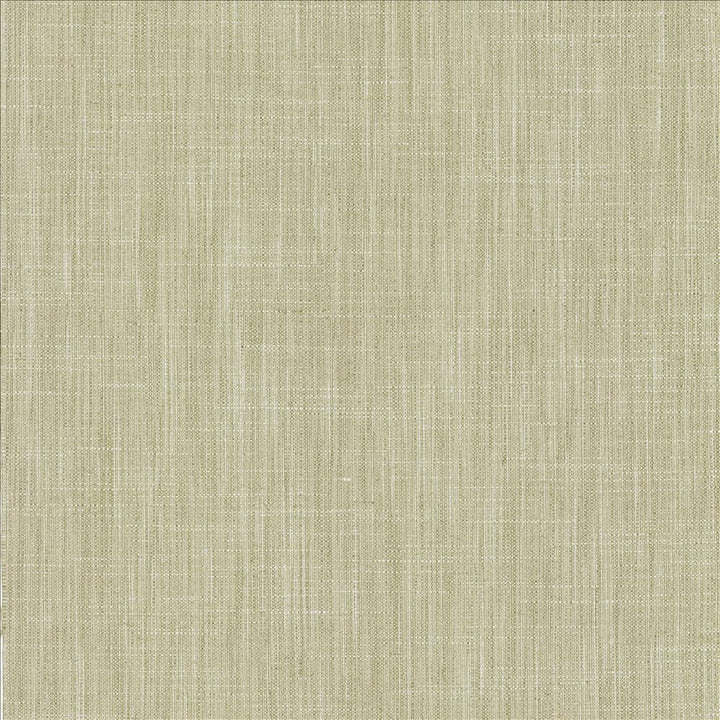 Foundation Vapor by Kasmir Designer Fabric 5120 64% Polyester
18% Cotton
9% Linen
9% Rayon
 INDIA 30,000 Wyzenbeek Double Rubs </p><p>Repeat: Horizontal: N/A and Vertical: N/A 53 - Swanky Fabrics -