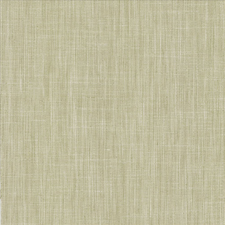 Foundation Vapor by Kasmir Designer Fabric 5120 64% Polyester
18% Cotton
9% Linen
9% Rayon
 INDIA </p><p>Repeat: Horizontal: N/A and Vertical: N/A 54 - Swanky Fabrics -