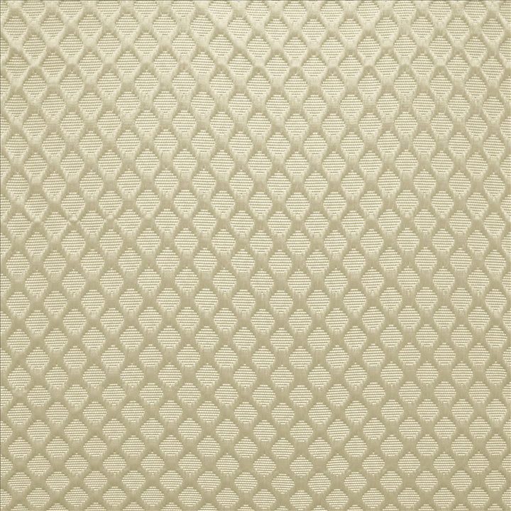 Gaineswood Silver by Kasmir Designer Fabric See sample 100% Polyester
 INDIA Not Tested </p><p>Repeat: Horizontal: 1 1/8 inches and Vertical: 1 2/8 inches 54 - Swanky Fabrics -