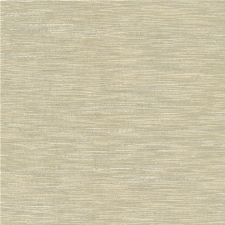 Gainsford Fog by Kasmir Designer Fabric 5140 75% Polyester 25% Viscose INDIA Not Tested Horizontal: 0 Inches and Vertical: 0 Inches 54 - Swanky Fabrics -