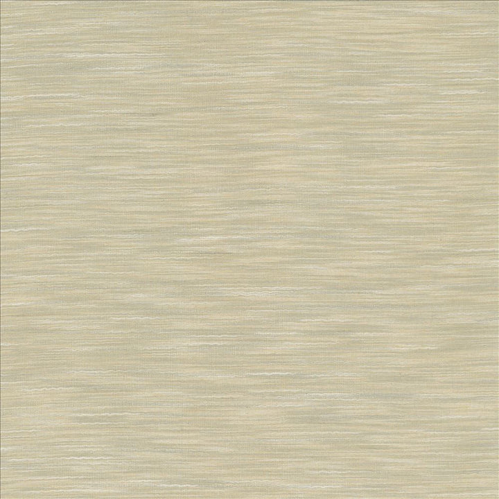 Gainsford Fog by Kasmir Designer Fabric 5060 75% Polyester
25% Viscose
 INDIA </p><p>Repeat: Horizontal: N/A and Vertical: N/A 54 - Swanky Fabrics -