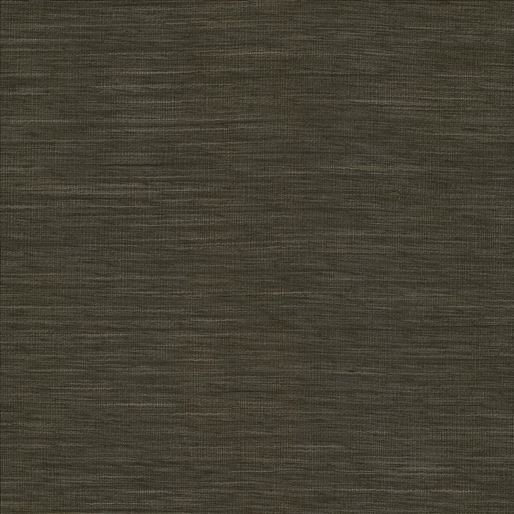 Gainsford Gunmetal by Kasmir Designer Fabric 5060 75% Polyester
25% Viscose
 INDIA </p><p>Repeat: Horizontal: N/A and Vertical: N/A 54 - Swanky Fabrics -