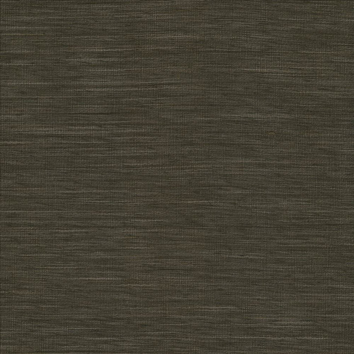 Gainsford Gunmetal by Kasmir Designer Fabric See sample 75% Polyester
25% Viscose
 INDIA Not Tested </p><p>Repeat: Horizontal: N/A and Vertical: N/A 54 - Swanky Fabrics -