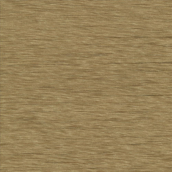 Gainsford Hemp  by Kasmir Designer Fabric 1313 75% Polyester
25% Viscose
 INDIA Not Tested Horizontal: N/A and Vertical: N/A 54  - Swanky Fabrics -