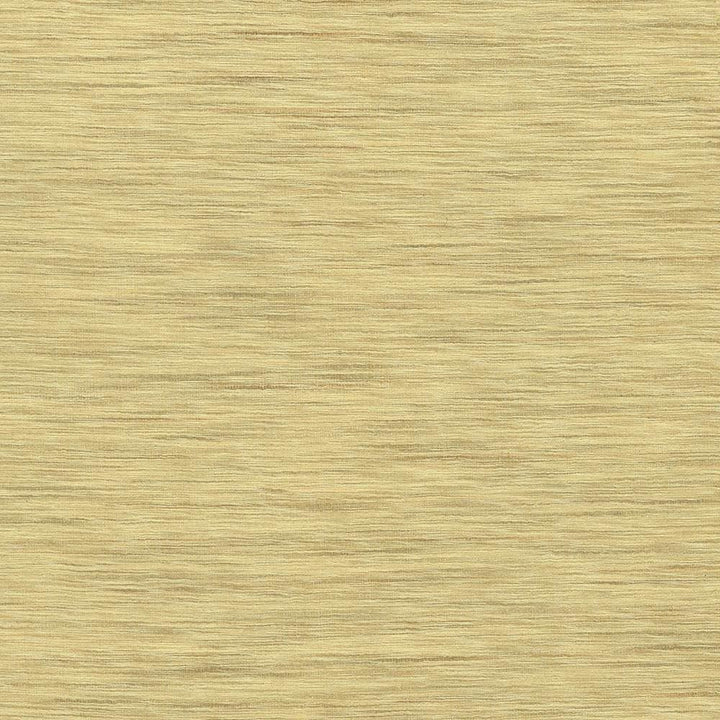 Gainsford Honey by Kasmir Designer Fabric 5060 75% Polyester
25% Viscose
 INDIA </p><p>Repeat: Horizontal: N/A and Vertical: N/A 54 - Swanky Fabrics -