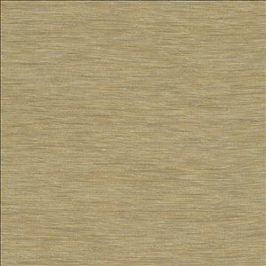 Gainsford Linen by Kasmir Designer Fabric