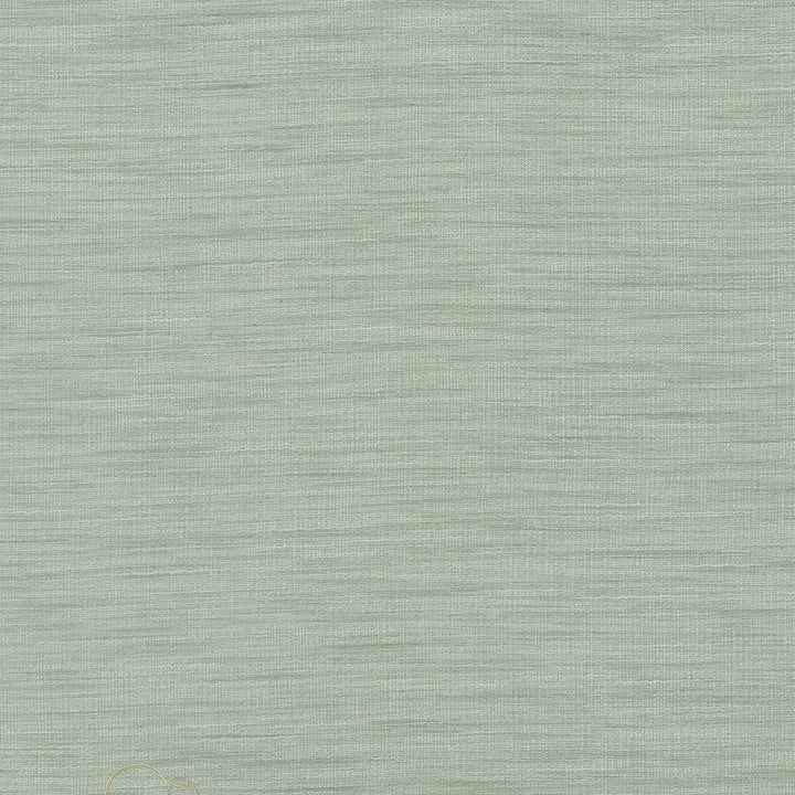 Gainsford Opal by Kasmir Designer Fabric 1313 75% Polyester
25% Viscose
 INDIA </p><p>Repeat: Horizontal: N/A and Vertical: N/A 54 - Swanky Fabrics -