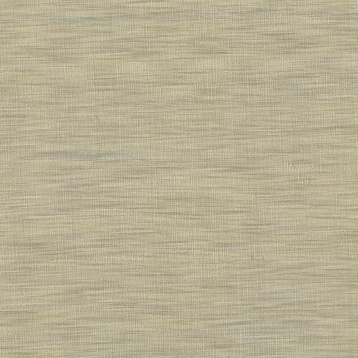 Gainsford Pebble by Kasmir Designer Fabric 5060 75% Polyester
25% Viscose
 INDIA </p><p>Repeat: Horizontal: N/A and Vertical: N/A 54 - Swanky Fabrics -