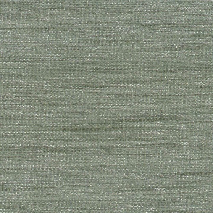 Gainsford Plantinum by Kasmir Designer Fabric 1313 75% Polyester
25% Viscose
 INDIA </p><p>Repeat: Horizontal: N/A and Vertical: N/A 54 - Swanky Fabrics -