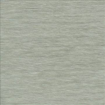 Gainsford Platinum by Kasmir Designer Fabric 5060 75% Polyester 25% Viscose INDIA Not Tested H: N/A, V: N/A 54 - Swanky Fabrics - Kasmir