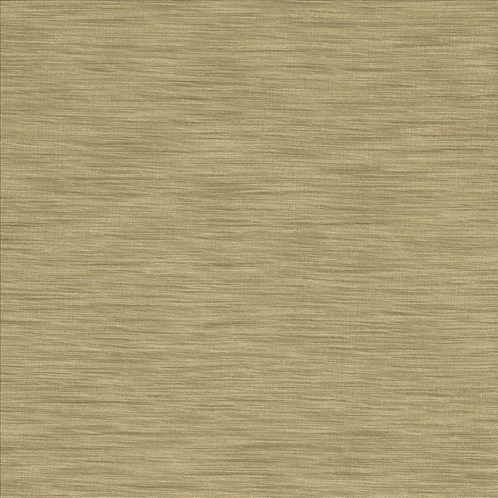 Gainsford Silver by Kasmir Designer Fabric 5140 75% Polyester
25% Viscose
 INDIA </p><p>Repeat: Horizontal: N/A and Vertical: N/A 54 - Swanky Fabrics -