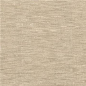 Gainsford Tussah by Kasmir Designer Fabric